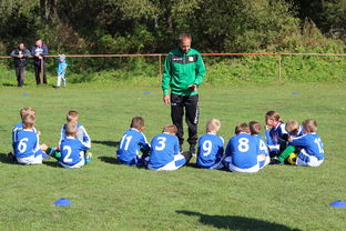 乐鱼体育官网注册-国足对不同战术体系适应能力评估，国足体能与技术分析