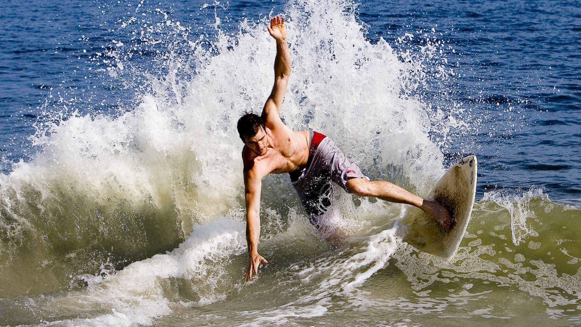 乐鱼体育app官方入口-体育新闻中心主办体育文化数字传播创新研讨会，数字体育发展