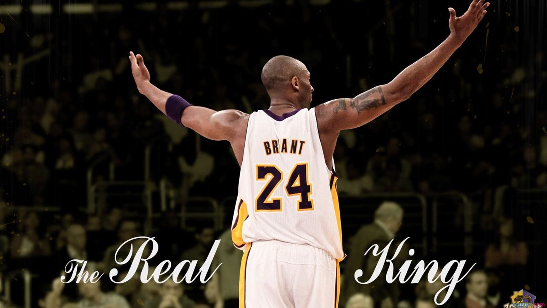 乐鱼体育官网下载-体育新闻中心开展体育赛事内容版权纠纷调解培训,体育赛事知识产权保护