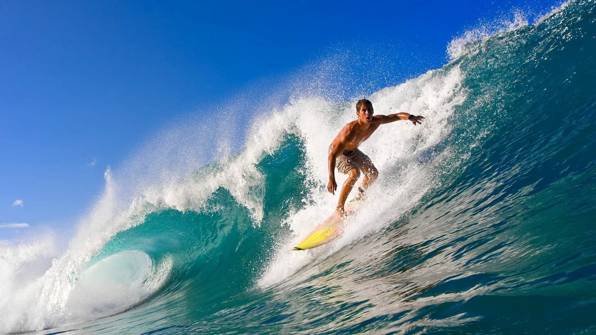 乐鱼体育官网注册-“美洲狮队:阿根廷橄榄球的崭新篇章”