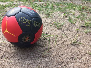 乐鱼体育app下载地址-俱乐部球员在慈善赛中展现高水平竞技状态,足球明星慈善赛