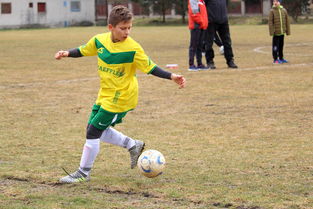 乐鱼体育app官网-全国青少年体能大赛落幕 多名选手晋级省队，全国青少年体能标准